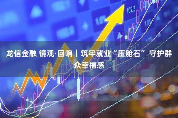 龙信金融 镜观·回响｜筑牢就业“压舱石” 守护群众幸福感