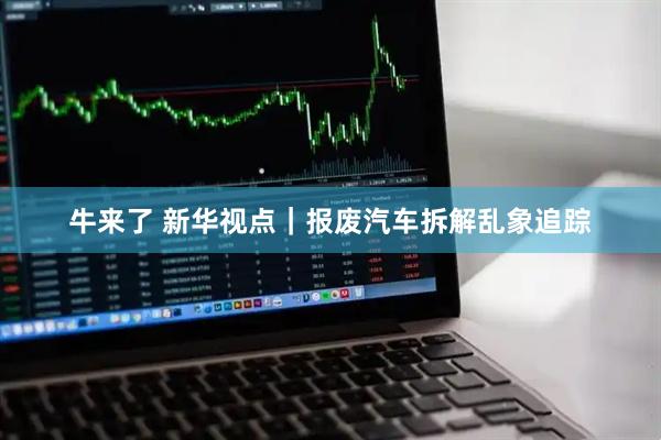 牛来了 新华视点｜报废汽车拆解乱象追踪