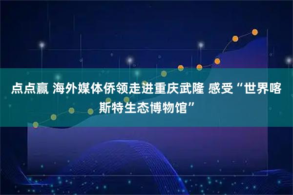点点赢 海外媒体侨领走进重庆武隆 感受“世界喀斯特生态博物馆”