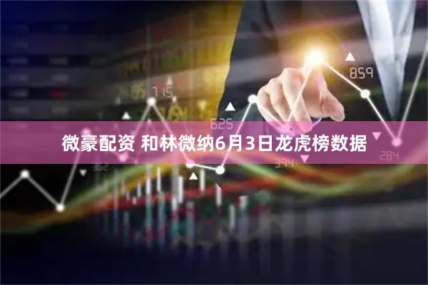 微豪配资 和林微纳6月3日龙虎榜数据