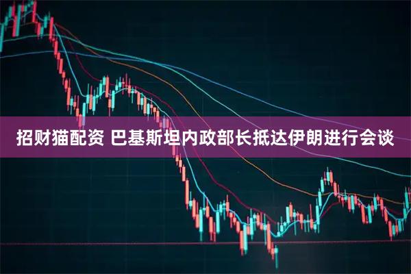 招财猫配资 巴基斯坦内政部长抵达伊朗进行会谈